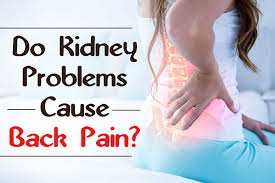 Pin On Kidney Problems
