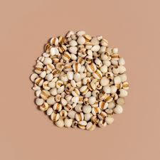 Image result for Coix