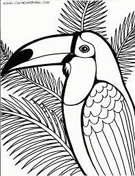 36+ tropical bird coloring pages for printing and coloring. Tropical Bird Coloring Pages High Quality Coloring Pages Coloring Home
