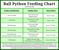 Feeding Chart Jasonkellyphoto Co