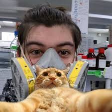 Felipe Andrés Venegas Faúndez (@TheRealFAVF)