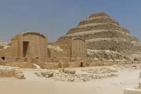 Image result for Basananthe pseudostipulata