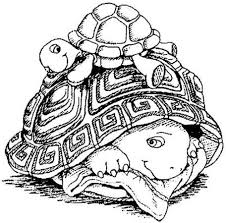 Schildkroten Ausmalbilder Schildkrote Ausmalen Malvorlagen Kinder Kostenlose Coloring Painting Ausmalen Ausmalbilder Bilder