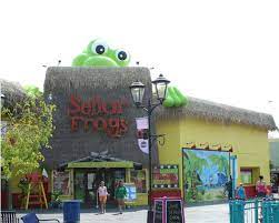 Hours may change under current circumstances Senor Frogs Myrtle Beach Nightlife Restaurants