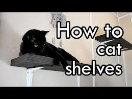 These shelves are so easy to install all by yourself. How To Make Cat Shelves Diy Youtube