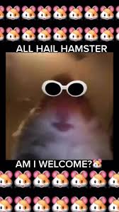 Submitted 7 hours ago by majorfugu. Hamsterfandom Hashtag Videos On Tiktok