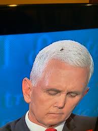 CACP Show (@Creamies)