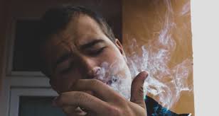 Bass Electric in New York