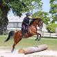 16B – YH Equestrian Confidence Camp event image