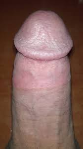 Benim YArrak Porn Pictures, XXX Photos, Sex Images 321317 - PICTOA