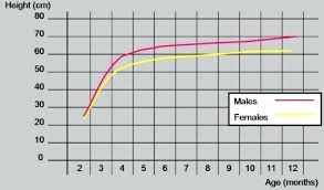 Standard Poodle Weight Chart Achievelive Co