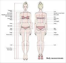 The human body is the structure of a human being. Woman Body Measurement Chart Scheme For Measurement Human Body For Sewing Clothes Female Figure Front And Back Views Model In Underwear Vector Stock Images Page Everypixel