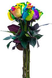 Size:medium, 1 inch wide | color:tie dye flowers. Amazon Com Fresh Rainbow Roses Bouquet By Flower Explosion 12 Stems Grocery Gourmet Food