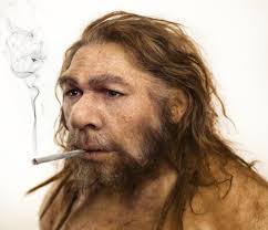 They hunted the same food; Er Zit Een Neanderthaler In Elk Van Ons De Standaard Mobile