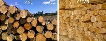 The Differences Between Wood Species Used To Build Log Homes Wood Species Cedar Log Log Homes