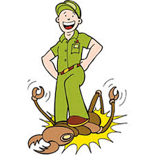 Looking for pest control in fort collins? Pest Control Services Denver Co Aaa Pest Pros