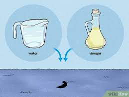 4 Ways To Remove Ink From Carpet Wikihow
