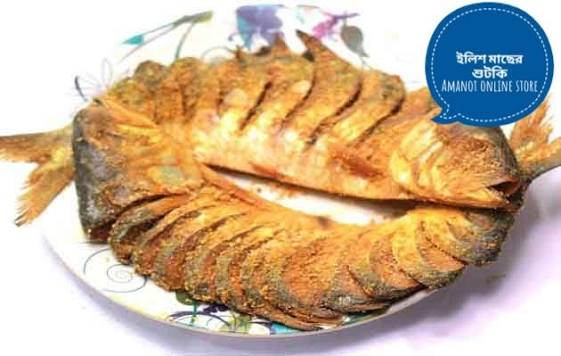 নোনা ইলিশ