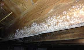 Hoe behandel ik schimmel op wanden en plafonds, en is dit in de toekomst te voorkomen? Hoe Kan Je Zwarte Schimmel Op Hout Verwijderen