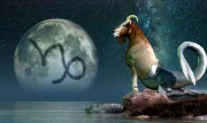 Organs influenced by capricorn moon sign: W1sr3lbjazlo1m
