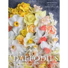 Image result for Sladeniaceae