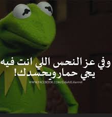 الضفدع كيرميت بوستات وكومنتات للفيس بوك Fun Quotes Funny Funny Science Jokes Funny Picture Jokes