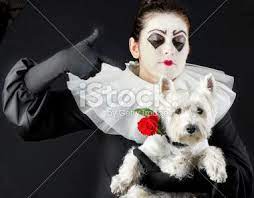 Pin On Dog Act