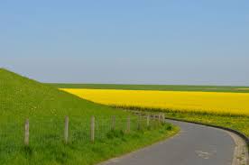 Rapsfeld Hinterm Deich Fruhling In Ostfriesland Ostfriesland Urlaub Ostfriesland Nordsee