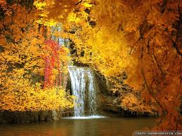 Here are fabulous collections of fall wallpapers wallpapers that apt for desktop and mobile phones.download the amazing collections of topmost hd wallpapers and backgrounds for free. 48 Free Computer Wallpaper Fall Scenes On Wallpapersafari