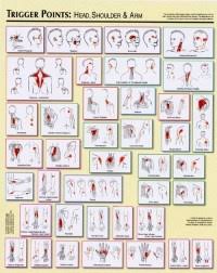 Trigger Point Chart Free Download Myofascial Pain