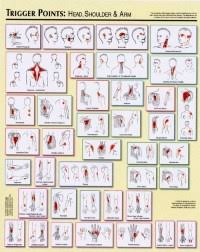 Trigger Point Chart Free Download Myofascial Pain