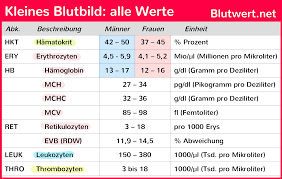 Kleines Blutbild Alle Werte Manner Und Frauen