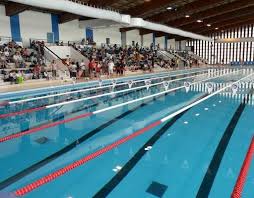 Nautilud Nageurs Com