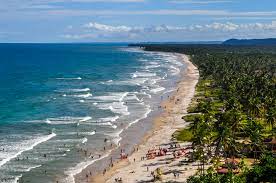 O Que Fazer Em Ilheus Na Bahia Confira As Melhores Dicas Segue Viagem