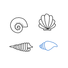 Thank you watching the video. How To Draw A Seashell Step By Step Easy Drawing Guides Drawing Howtos