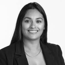 About the Alaniz Team