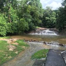 Lagong or bukit lagong is a small town and a forest reserve area in selayang, selangor, malaysia, located between kuang and batu caves. Taman Rimba Bukit Lagong