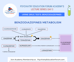 Image result for Halazepam