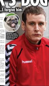 SON STABBED MOTHER'S DOG