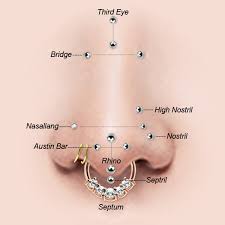 Nostril synonyms, nostril pronunciation, nostril translation, english dictionary definition of nostril. Piercing Arten Nasenpiercing Wie Septum Nasenstecker