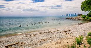 Summerville outdoor olympic pool, playground, outdoor fitness equipment, beach. 15 Best Beaches Near Toronto
