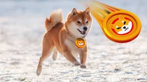 According to cnbc, the squid crypto was trading at . The Easiest Way To Buy Shiba Inu Coin Coin Cloud