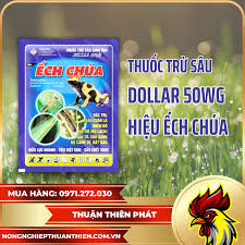 Dollar 50WG