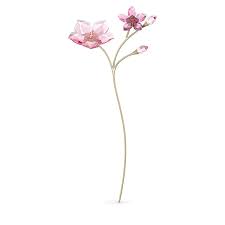 We did not find results for: Garden Tales Cherry Blossom Swarovski Com