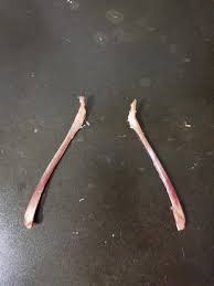 Turkeys still only have one wishbone, but a smart inventor has created a plastic replica of a wishbone. My Wide And I Evenly Split The Wishbone From Our Thanksgiving Turkey Mildlyinteresting