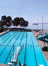 12 Year Round Heated Saltwater Pool Ideas Saltwater Pool Pool Saltwater
