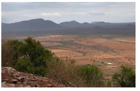 Image result for Mountain Brown 1934 Fleet