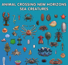 They often show up during certain months or even at specific times of the day. Animal Crossing New Horizons Sea Creatures List Capture Period Catch Time Prices In Northern Southern Hemisphere