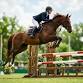 FL Quarter Horse Association Show