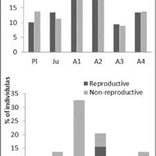 Swim recently did an alcohol extraction on four 12 inch san pedro cuts. Pdf Population Structure And Reproductive Biology Of Peyote Lophophora Diffusa Cactaceae A Threatened Species With Pollen Limitation1 2
